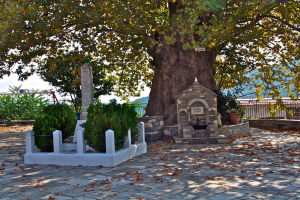 ekklhsia-makriraxis2